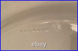 Rare Antique Wedgwood Pearlware 9 3/4 Plate Botanical Early 1800s