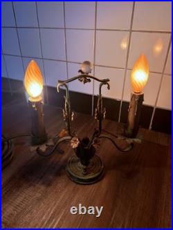 Rare Antique late 1800-early 19th Century French Brass Lamps with metal Flowers