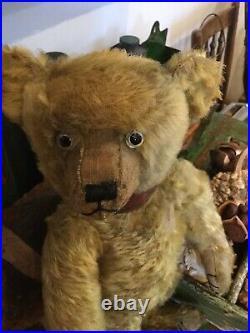 Rare Apha Farnell Bear Early 1920s. 16 Inches High