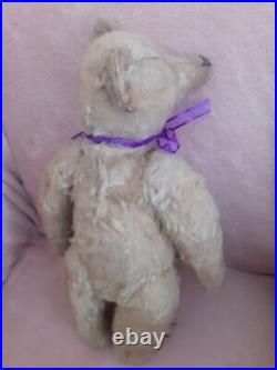 Rare Early 1900s Antique steiff German teddy bear old handsome collector bear