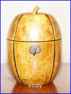 Rare Early 19th Century Circa 1820 Treen Hnd Carved Apple Tea Caddy Original Key