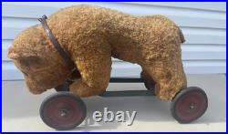 Rare Early Antique Original Steiff Teddy Bear