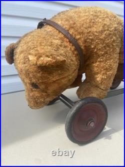 Rare Early Antique Original Steiff Teddy Bear