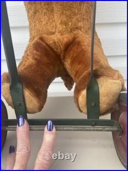 Rare Early Antique Original Steiff Teddy Bear