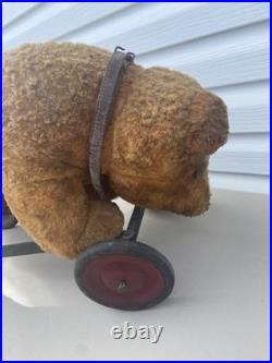 Rare Early Antique Original Steiff Teddy Bear