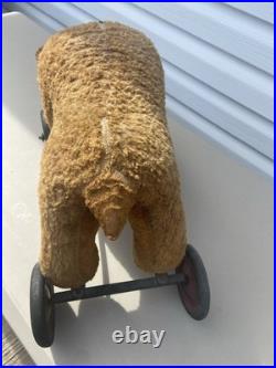 Rare Early Antique Original Steiff Teddy Bear
