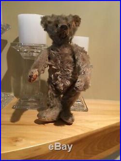Rare Early Antique Steiff Teddy Bear 1913 And Picture Of Child Holding It 1913