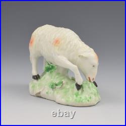 Rare Early Derby Porcelain Figure Sheep Grazing Ewe c. 1760-1765 Antique Georgian