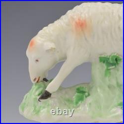 Rare Early Derby Porcelain Figure Sheep Grazing Ewe c. 1760-1765 Antique Georgian