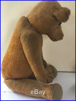 Rare Early Huge 1920s Teddy Bear Vintage Old Antique