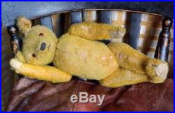 Rare Early Hump Back 16 American Teddy Bear C1910 Ideal Mohair Fully Jointed