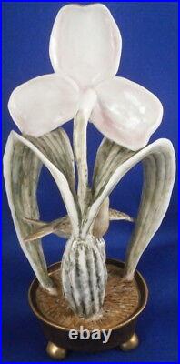 Rare Nymphenburg Porcelain Art Nouveau Orchid Hummingbird Figure Porzellan Figur