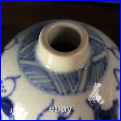 Rare Pair of Chinese early Qing dynasty blue and white mini vases lidded