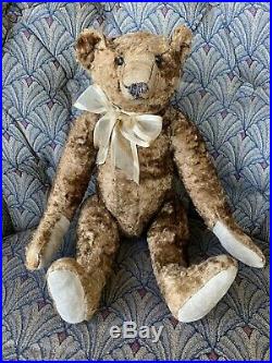 Rare Wonderful Early antique steiff 16 bear Excellent Overall For Age LOOK