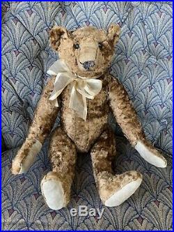 Rare Wonderful Early antique steiff 16 bear Excellent Overall For Age LOOK