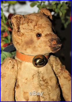 Rare early 1900 Sweet Steiff Teddy Bear with his pre war Button 12 tall
