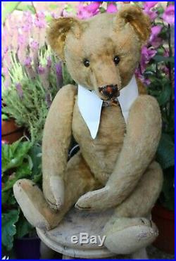 Rare early BING teddy bear c1910