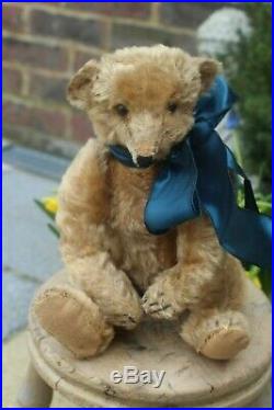 Rare early Steiff cone nosed apricot teddy c1904/5