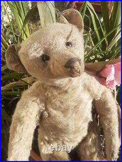 Steiff Antique Rare Boot Button Eyes German teddy bear Long Nose early 1900s Steiff Antique Rare Boot Button Eyes German teddy bear Long Nose early 1900s
