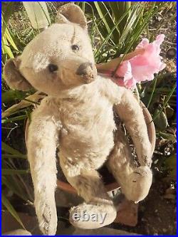 Steiff Antique Rare Boot Button Eyes German teddy bear Long Nose early 1900s Steiff Antique Rare Boot Button Eyes German teddy bear Long Nose early 1900s