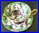 TAYLOR_KENT_TEACUP_SAUCER_SET_RARE_ANTIQUE_EARLY_1900_s_WHITE_ROSE_ON_GREEN_01_eiu