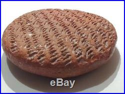 Very Rare Ancient Near Eastern Clay Tablet With Early Form Of Writing C. 3000bc
