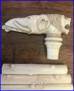 Very Rare Antique Late 18th Early 19th Century Gentleman's Walking Stick / Cane