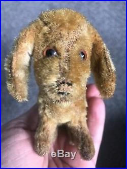 Very Rare Early 4 Antique Steiff Treff Miniature Mohair Dog No ID Must C Cute