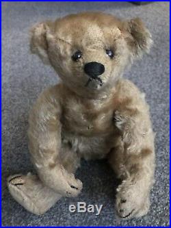 Very Rare Early Antique blank button Steiff Bear 10 Excellent Buy Now NR