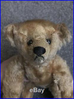 Very Rare Early Antique blank button Steiff Bear 10 Excellent Buy Now NR