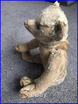 Very Rare Early Antique blank button Steiff Bear 12 Buy Now No Reserve