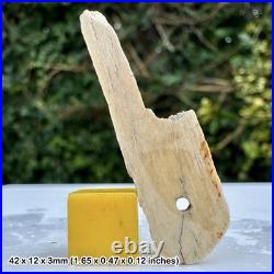 Very Rare Mesolithic to Early Neolithic Bone Net Making Tool Prehistoric