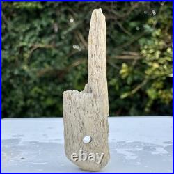 Very Rare Mesolithic to Early Neolithic Bone Net Making Tool Prehistoric