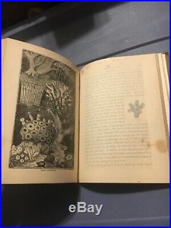Vintage Antique Book WHAT DARWIN SAW 1879 Illustrated 1st Or Early Edition Rare